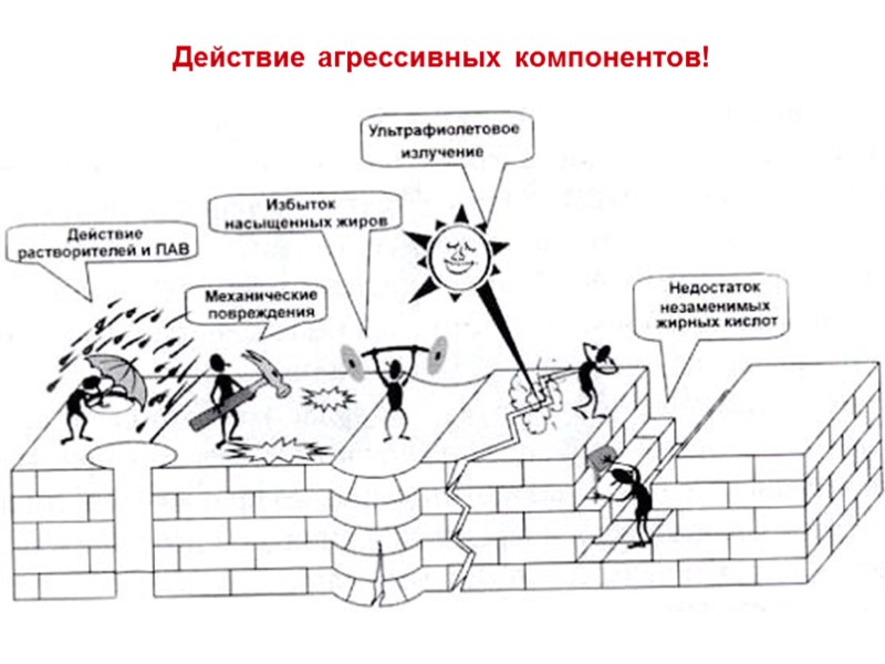 Действие агрессивных компонентов!